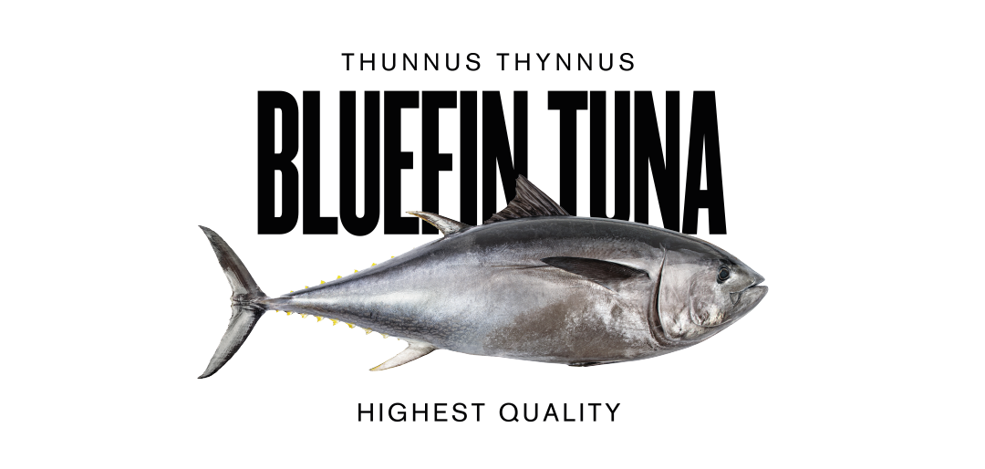 bluefin arrom