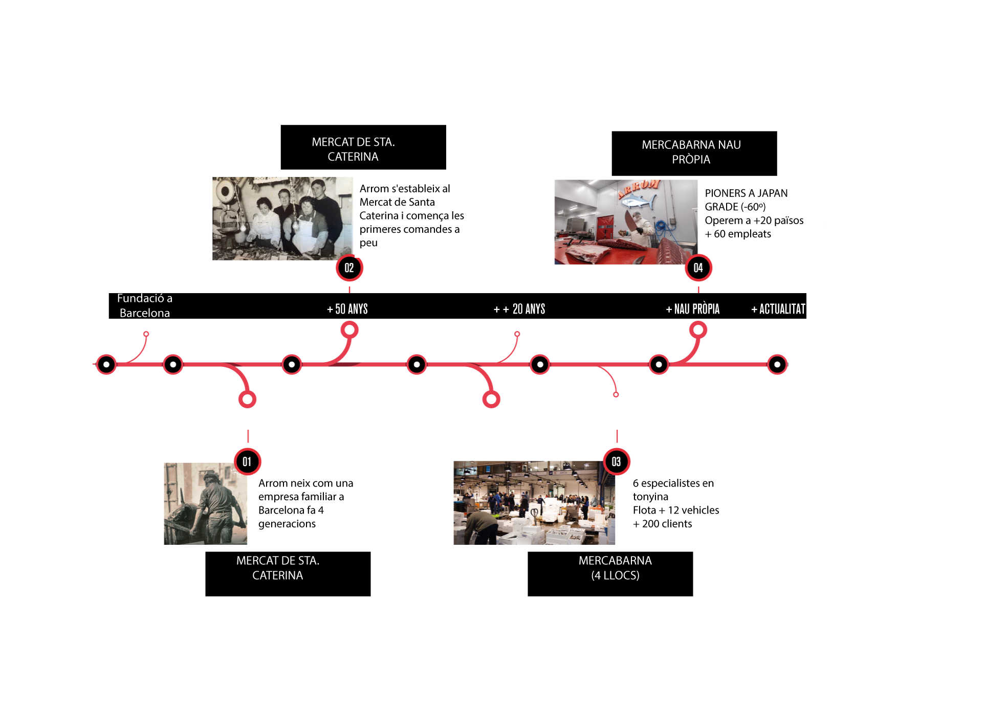 cat-timeline